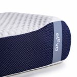 Ergo-Hybrid-02