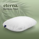 Eterna-1